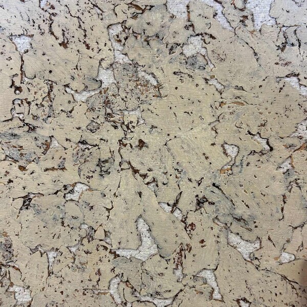 Marble Latte cork wall tiles